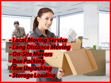 Packers And Movers Noida Sector 52